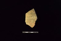 藏品(陶片)的圖片